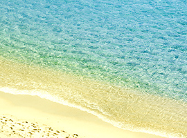 Elba Island panorama